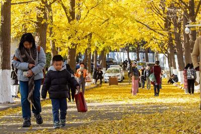 谨防感冒！一周内三股冷空气先后来袭，山东又要降温了