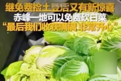 “白菜免费摘”视频疯传！谁在造谣？