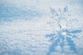 历届之最！今冬哈尔滨冰雪大世界扩大到120万平方米