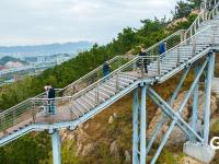 打翻调色盘！青岛这座公园初冬如画