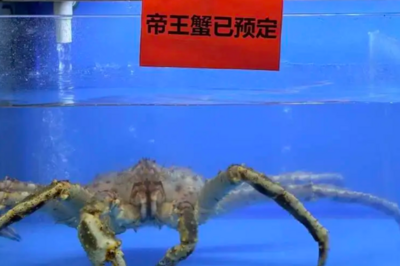南京大学回应食堂销售帝王蟹：窗口负责企业已调整菜式供应