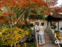 “秋日限定”上线！世博园赏秋正当时