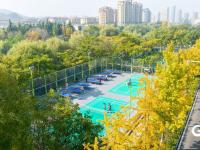 李村河畔体育场“上新”，市民尽享运动乐趣