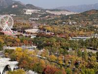 处处皆美景，初冬的世博园被焦糖色填满