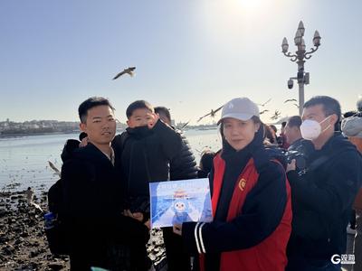 栈桥上空海鸥盘旋，青岛巴士志愿者化身“护鸥使者”