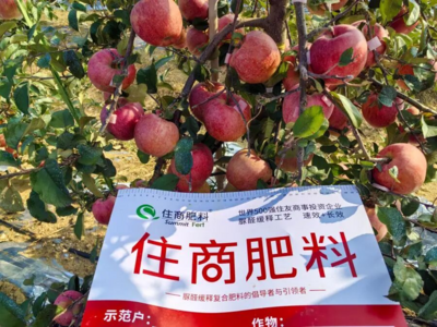 定制响应、精准直达、知识赋能，住商肥料唱响高端市场“三部曲”