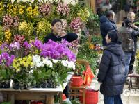 元旦将至，青岛花卉热销