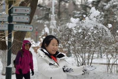 速冻模式开启！山东迎降温10℃+积雪5厘米+阵风10级“三合一”寒潮