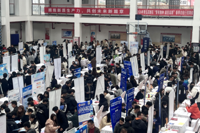优化生态，青岛筑强人才“强磁场”