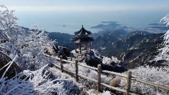 慢直播 | 琼花飞山海，寻幽崂山间！跟观海一起云看崂山飞雪