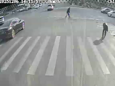 橘子洒落一地，这群人用行动展现“青岛温度”