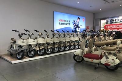 新国标电动自行车上市，“等等党”还需要观望多久？