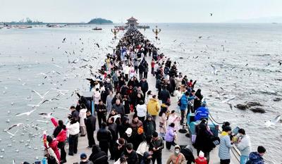 瞄准一年9000万“流量”，青岛推出400余商家“优惠联盟”