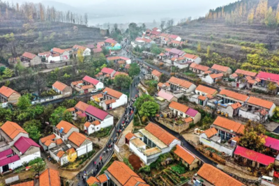 省情研究所｜片区化推进乡村振兴的山东实践：从“连片”向“深融”