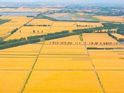 山东“十四五”建设乡村振兴片区突破2000个