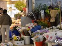 元旦将至，青岛花卉热销