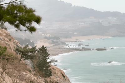 刚刚，青岛下雪了！