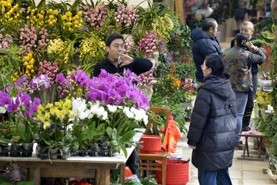 元旦将至，青岛花卉热销