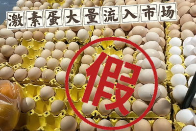 致癌的“激素鸡蛋”又来了？真相是→