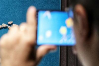 新加坡将禁止中学生在校内使用智能手机或手表