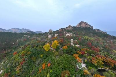 华楼游步道启用！@青岛人，快来解锁登山新路线→