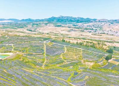 追求实实在在、没有水分的增长