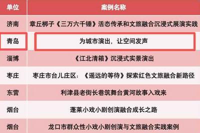 入选省级典型案例！市南区文旅融合群众性小戏小剧创新实践获肯定
