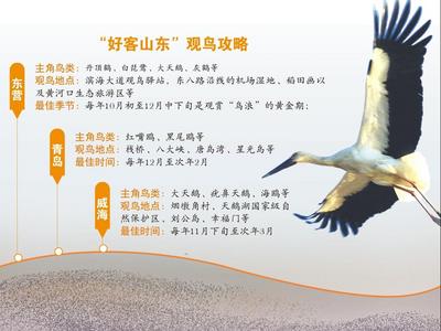 经济观潮｜当“鲲鹏” 在黄河口醒来