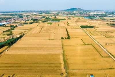 国家统计局：2025年全国粮食总产量14298亿斤，增长1.2%
