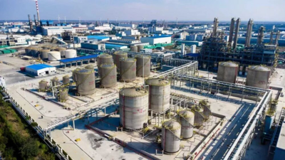 碱业发展重塑组织生态，多赛道闯入高端赛道