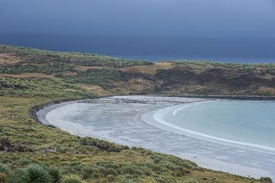 阿根廷强烈谴责英以企业拟在马岛开发油田