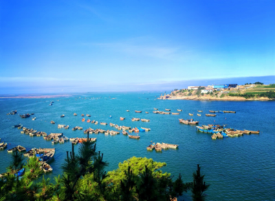 经济大省挑大梁|山东蓝色海岸线的“海外推介手册”