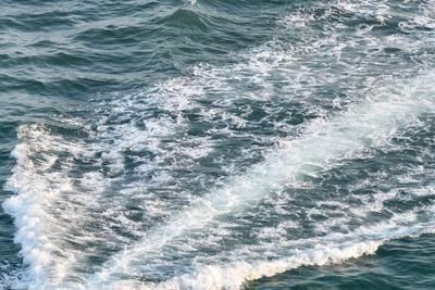 自然资源部海啸预警中心：日本强震不会对我国沿岸造成影响