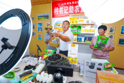 青島市委書記調研西海岸，走進了村里的直播間