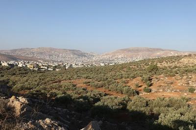 以军连续在约旦河西岸多地开展行动，关闭道路且突袭医院