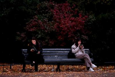 你有没有吞过“愤怒诱饵”？2025年牛津年度词汇出炉