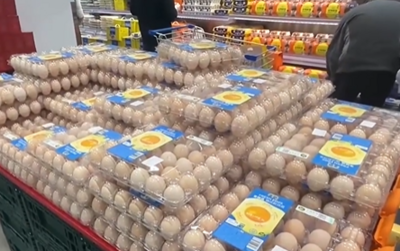 价格差10倍，高价鸡蛋真的更有营养吗？