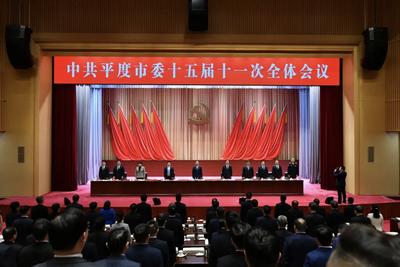 中共平度市委十五届十一次全体会议举行