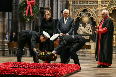 德国总统承认德国曾给欧洲带来苦难