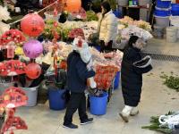 元旦将至，青岛花卉热销