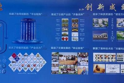 2100余个新品种！创新30年，山东主要农作物良种覆盖率98%以上