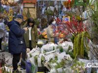 元旦将至，青岛花卉热销