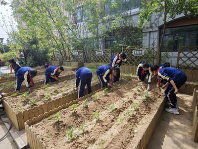 市北区举行科技赋能校园劳动小农场建设现场会