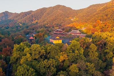 多地宣布免费、半价，别错过这些错峰旅游福利