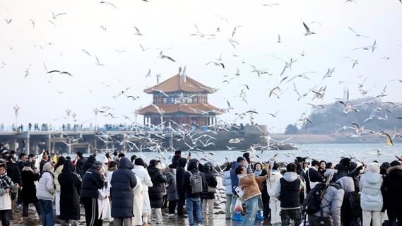 青岛：厚植民生底色，让市民幸福感看得见摸得着