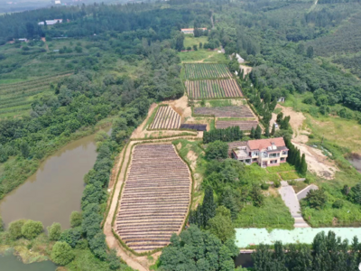 莱西：城乡联建打造乡村共富基地