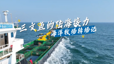 三文鱼的陆海接力 海洋牧场转场记