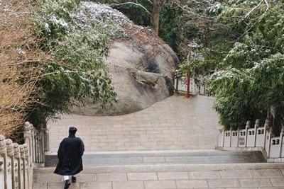 属“马”的游客有福了！2026年春节期间（2月15日至23日）这些人免票游崂山