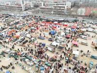 年味上線！平度金溝子大集迎春氛圍感拉滿