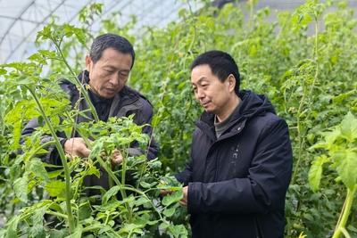 青岛市千余名农技人员下沉一线，为应对雨雪天气开展技术服务